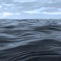Sea Sea